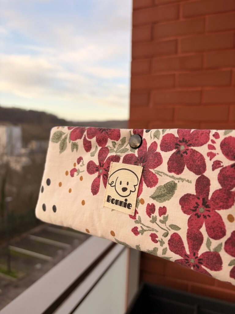 Etui à lunettes